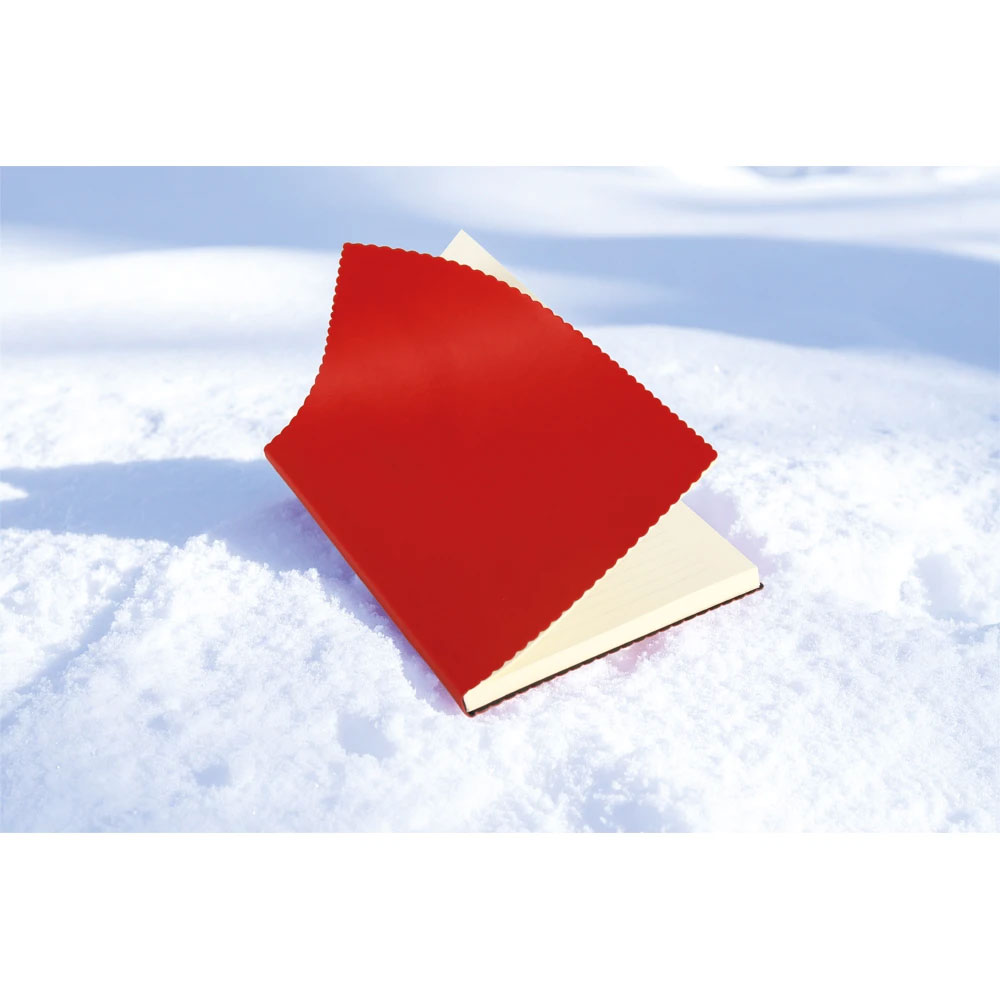 Erciyes-YSL Undated Notebook